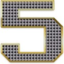 d_0000s_0005_5