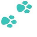 jThompson_dog_paws2