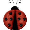 Ladybug_Sooze