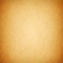 chey0kota_OrangeCrush_Paper  (13)