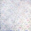bg (17)