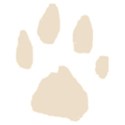 PawPrint03