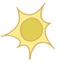 Sun01