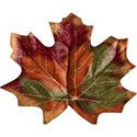 stierney_bountiful_leaf4