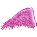 pink_angel_wing_png_by_thy_darkest_hour-d4gppqr