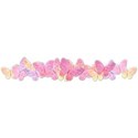 butterfly-divider