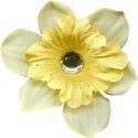 jennyL_dreams_flower5