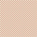 jennyL_coral_paper5