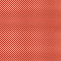 jennyL_coral_paper7