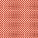 jennyL_coral_paper3