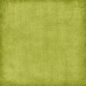 stierney_bountiful_solids (7)