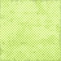 calalily_outwithdad_paper3