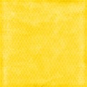 1 (11)