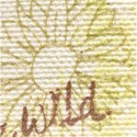 wild paper
