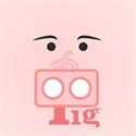 pig (2)