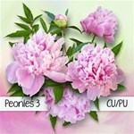 Peonies #3 Peonies #3