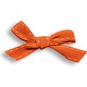 jennyL_citrus_summer_ribbon2