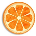 jennyL_citrus_summer_orange