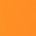jennyL_citrus_summer_paper1