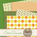 PREVIEW_citrussummer-paper2