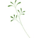 KITD_myonlyone_leaves