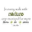 SChua_NatureWalk_Element_16