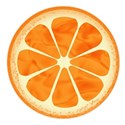 jennyL_citrus_summer_orange