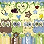 Owl Always Love You