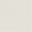 bg (6)
