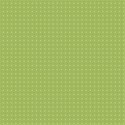 bg (5)