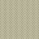 bg (4)