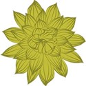 em (7)