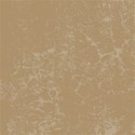 bg (9)