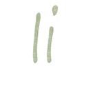 i-green