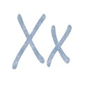 x-blue