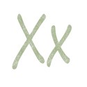 x-green
