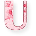 U upper