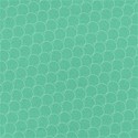 SCD_HopSkipJump_paper8