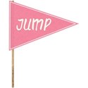 SCD_HopSkipJump_flag2