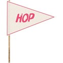 SCD_HopSkipJump_flag4