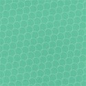 SCD_HopSkipJump_paper8
