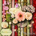Blossom