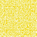 swdot2