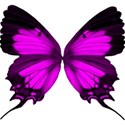 pink butterfly2