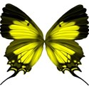 yellow butterfly