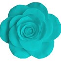 turquoise rose