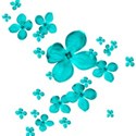 turquoise flowers