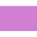purple background3