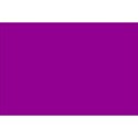 purple background