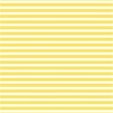 paper